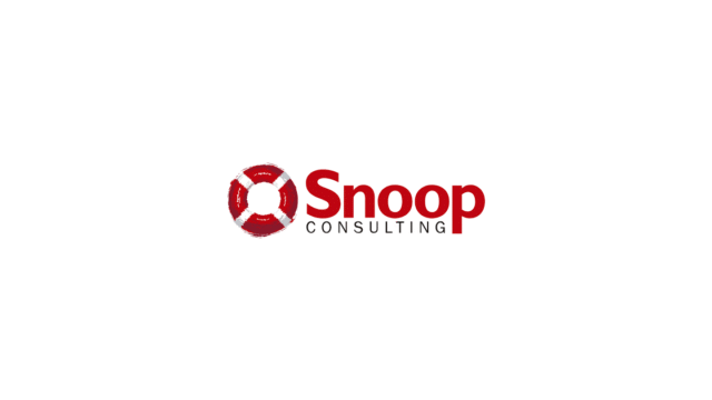 Snoop Consulting Cybersecurity