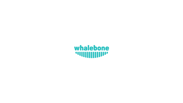 Whalebone